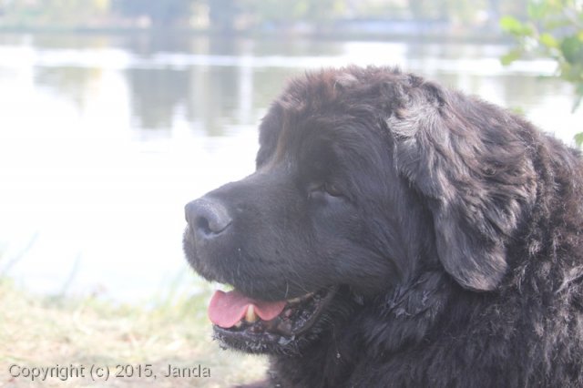 Zamykání vody 2015