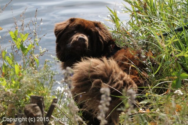 Zamykání vody 2015