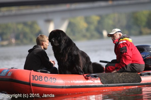 Zamykání vody 2015