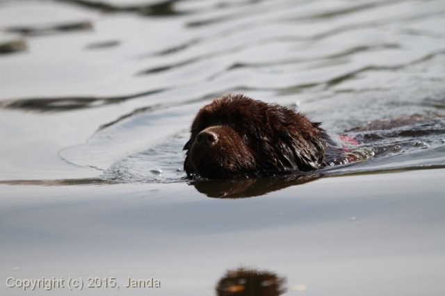 Zamykání vody 2015