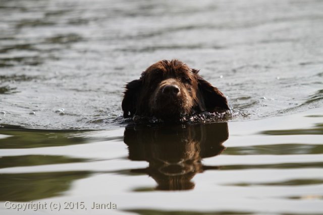 Zamykání vody 2015