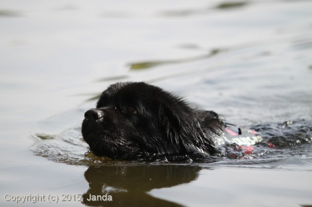 Zamykání vody 2015