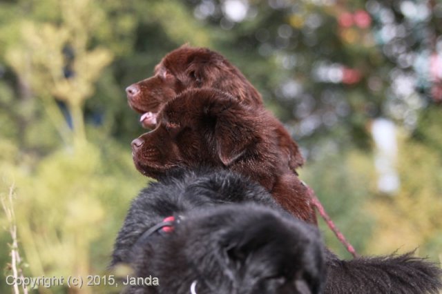 Zamykání vody 2015