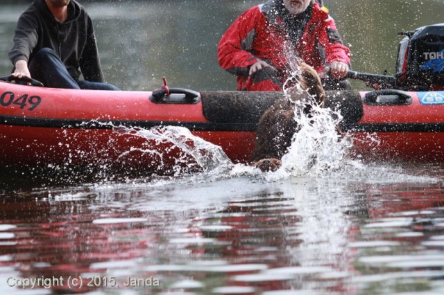 Zamykání vody 2015