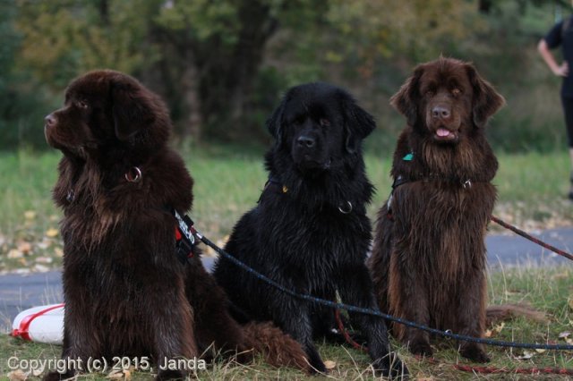 Zamykání vody 2015