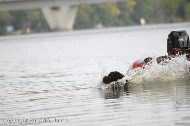 Zamykání vody 2015