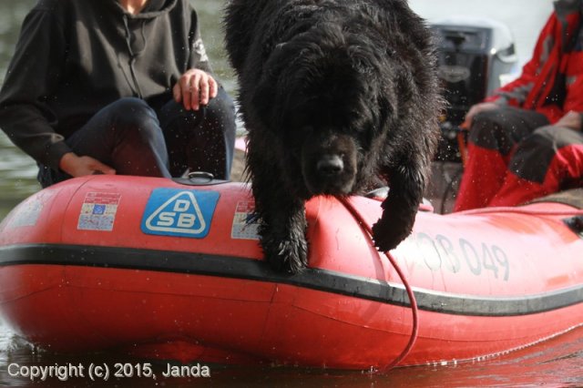 Zamykání vody 2015