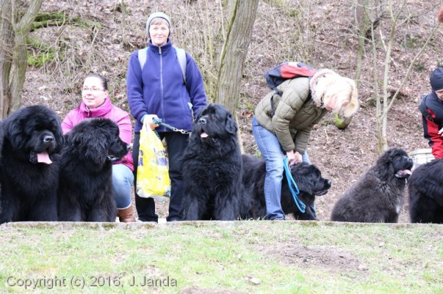 Divoká Šárka 2016