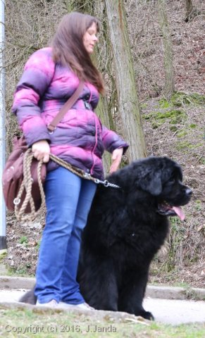 Divoká Šárka 2016