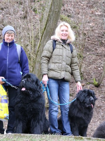 Divoká Šárka 2016