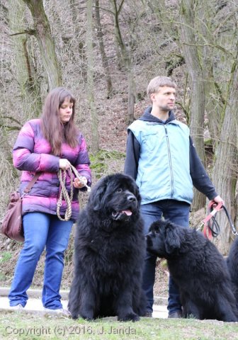 Divoká Šárka 2016