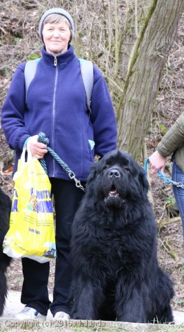 Divoká Šárka 2016