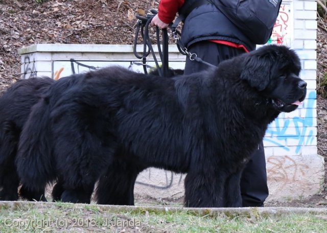 Divoká Šárka 2016