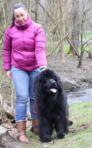 Divoká Šárka 2016