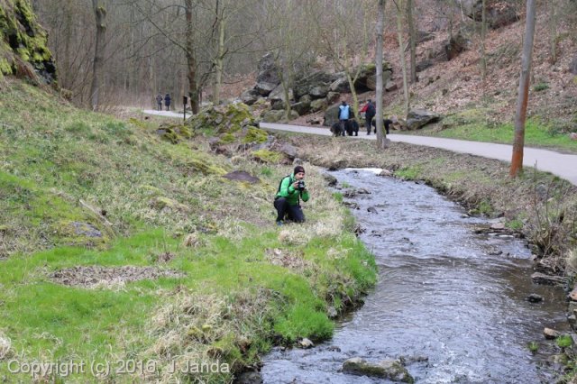 Divoká Šárka 2016