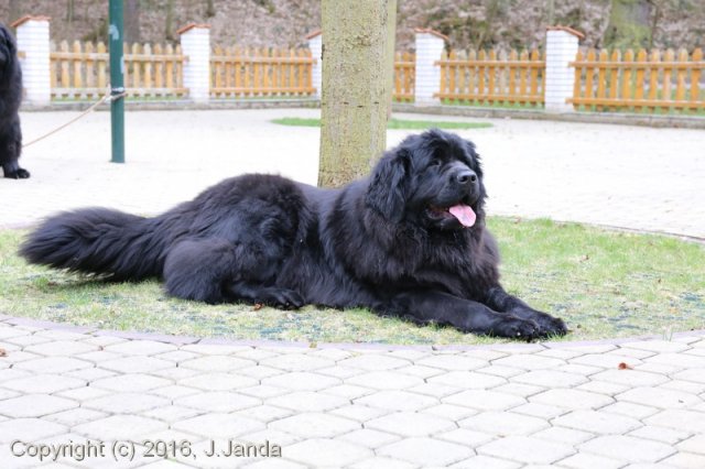 Divoká Šárka 2016