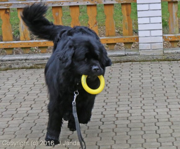 Divoká Šárka 2016