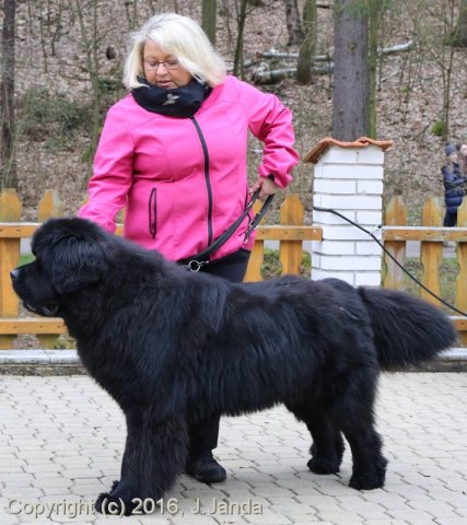 Divoká Šárka 2016