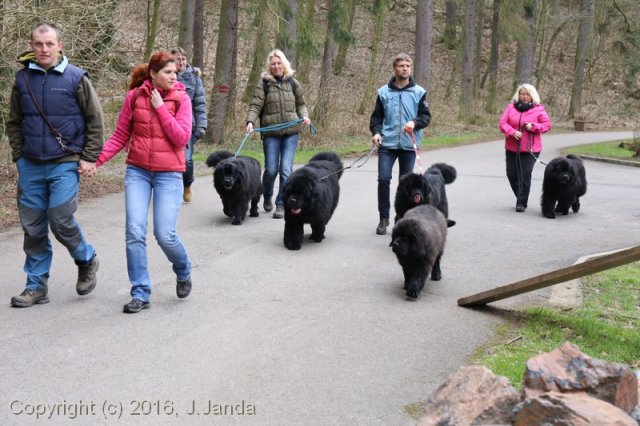 Divoká Šárka 2016