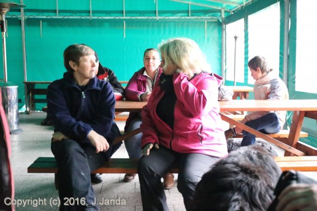 Divoká Šárka 2016