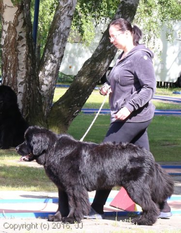 Slapy 2016 - otevírání vody