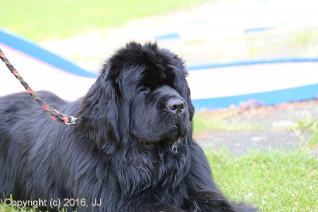 Slapy 2016 - otevírání vody