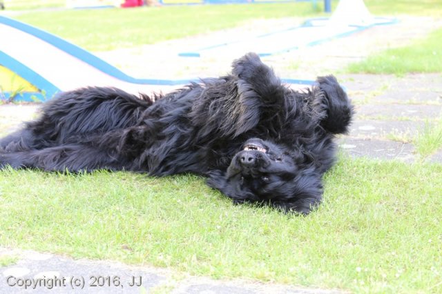 Slapy 2016 - otevírání vody