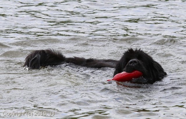 Slapy 2016 - otevírání vody