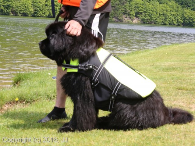 Slapy 2016 - otevírání vody