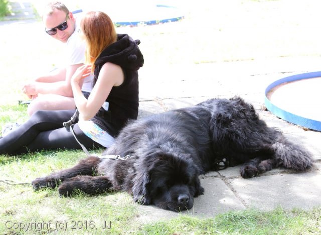 Slapy 2016 - otevírání vody