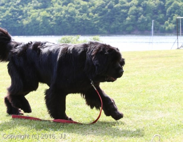Slapy 2016 - otevírání vody