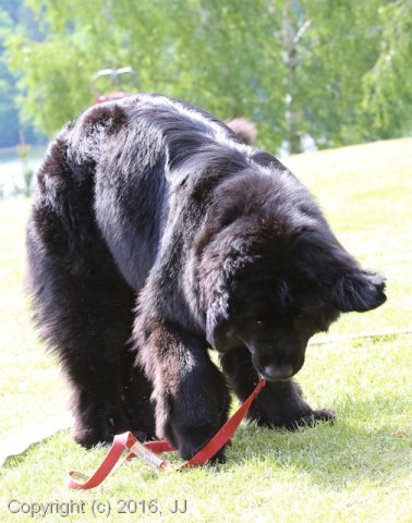 Slapy 2016 - otevírání vody