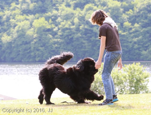 Slapy 2016 - otevírání vody