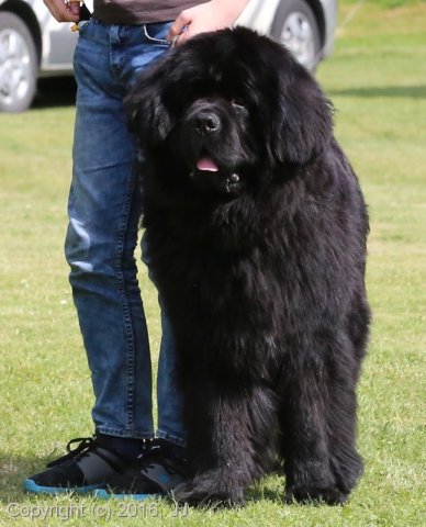 Slapy 2016 - otevírání vody