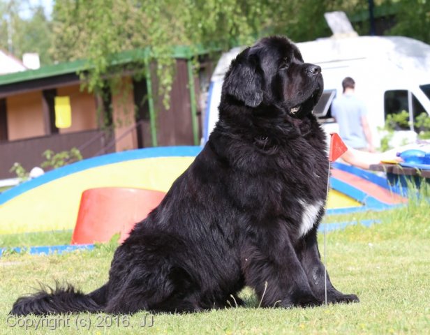 Slapy 2016 - otevírání vody