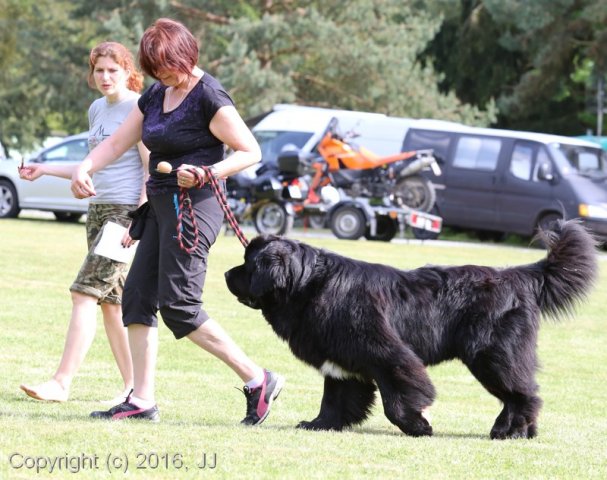 Slapy 2016 - otevírání vody