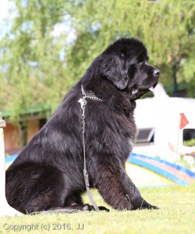 Slapy 2016 - otevírání vody