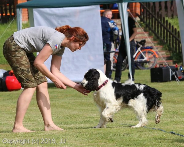 Slapy 2016 - otevírání vody