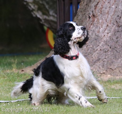 Slapy 2016 - otevírání vody