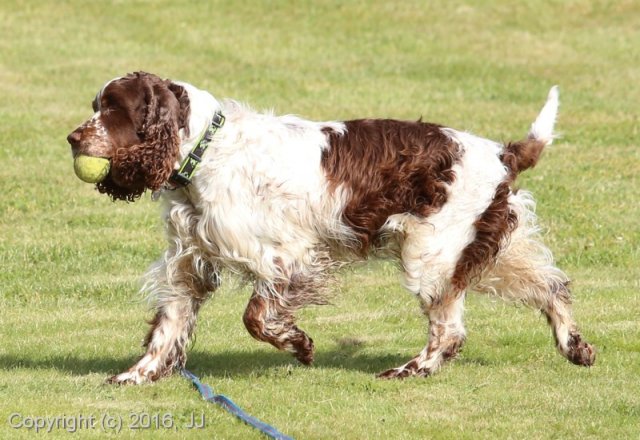 Slapy 2016 - otevírání vody