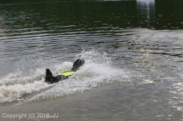 Slapy 2016 - otevírání vody