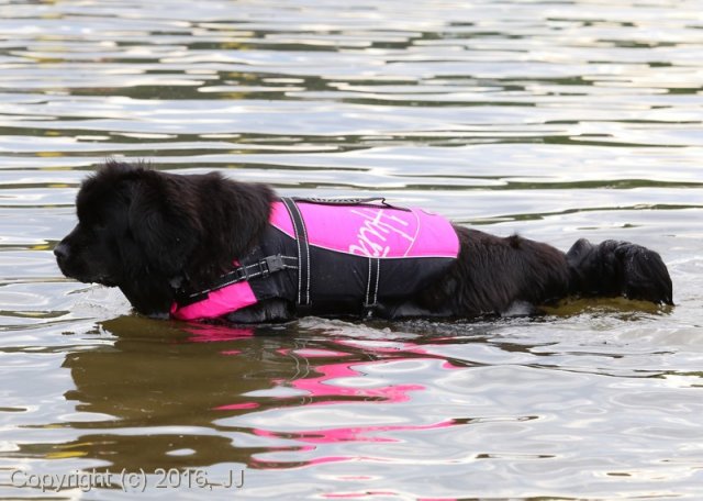 Slapy 2016 - otevírání vody