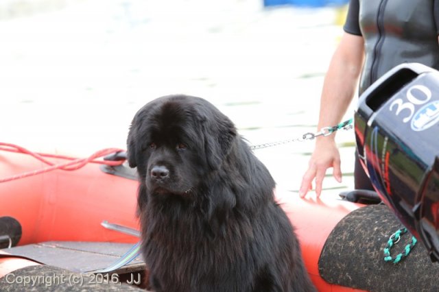 Slapy 2016 - otevírání vody