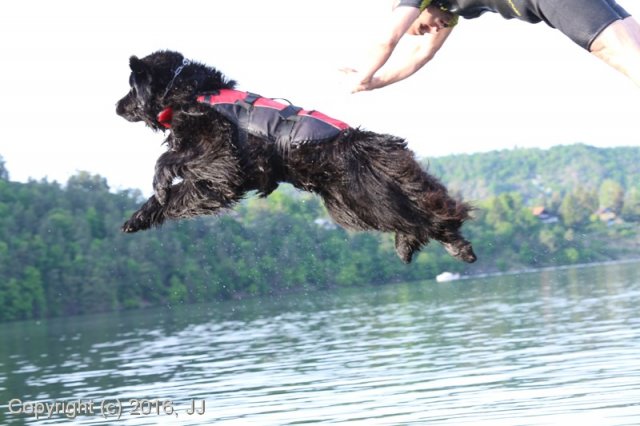 Slapy 2016 - otevírání vody