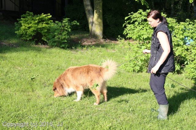 Slapy 2016 - otevírání vody