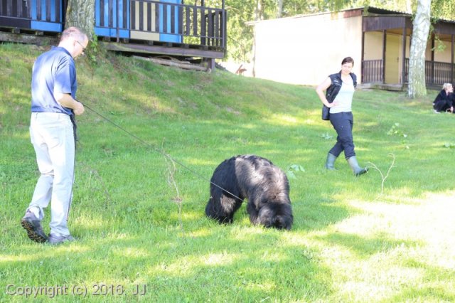 Slapy 2016 - otevírání vody