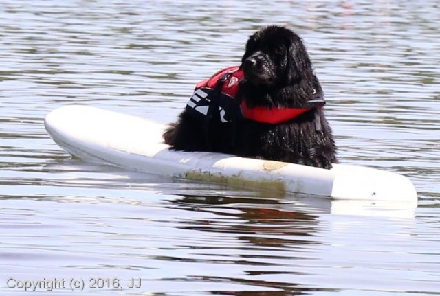 Slapy 2016 - otevírání vody