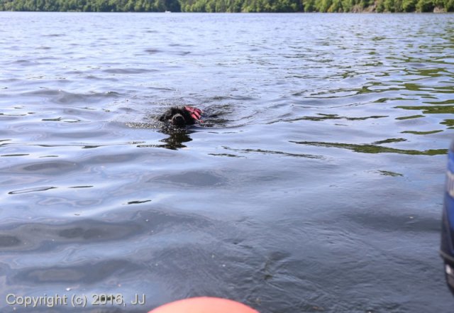 Slapy 2016 - otevírání vody