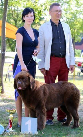 Džbán 4.9.2016 - Klubová výstava CAC