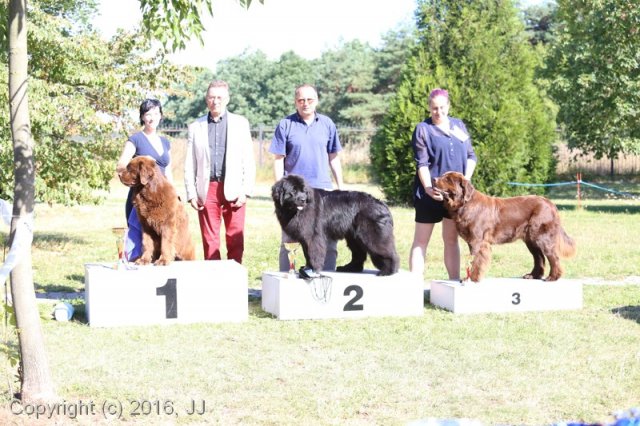 Džbán 4.9.2016 - Klubová výstava CAC